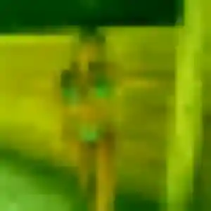 Contacte Ilona, 35 ans à Agde gratuitement