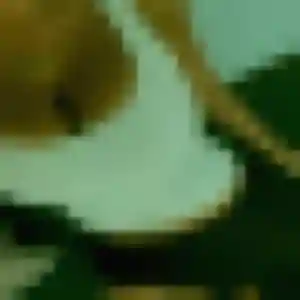 Jolie Daniela, 37 ans à Aire-sur-la-Lys - découvrir son profil