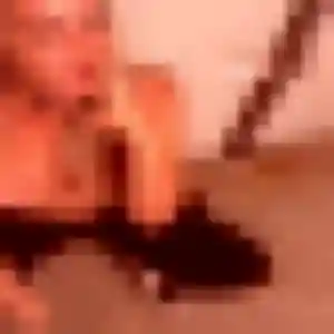 Rebecca, 19 ans, veut un rencontre libertine à Anglet