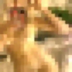 Photo exclusive de Eleonore, 43 ans à Antony - plan discret