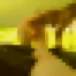 Photo de Anne à Aurillac (44 ans) - rencontre libertine discret