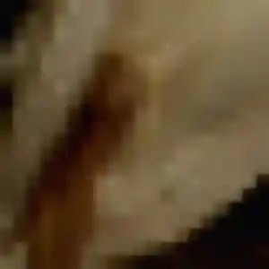 Albane, femme de 37 ans cherche rencontre libertine à Bailly-Romainvilliers