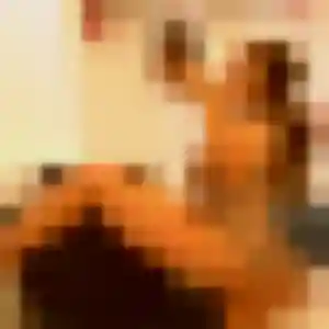 Photo perso de Marie-Helene, 43 ans à Balma - rencontre sans lendemain