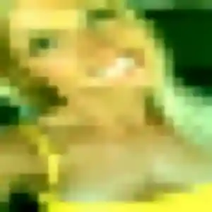 Photo exclusive de Gaia, 27 ans à Bandraboua - plan discret