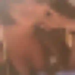 Rencontre Geneve, 21 ans à Bédarieux en privé