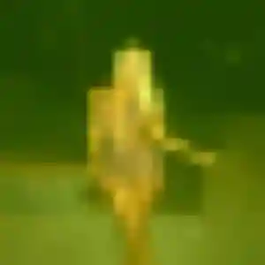 Photo de Deborah à Bellevigne-en-Layon (22 ans) - rencontre libertine anonyme