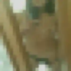 Marie-Pierre, femme de 26 ans cherche rencontre libertine à Bétheny