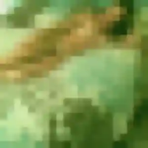 Josiane, 44 ans, connectée à Bois-le-Roi pour une rencontre coquine
