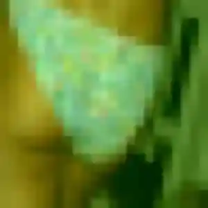 Jolie Soraya, 43 ans à Bonneuil-sur-Marne - la contacter
