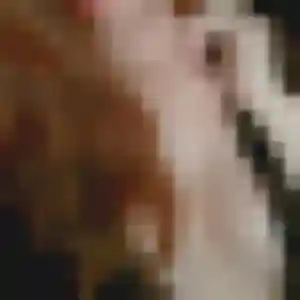Photo exclusive de Roxane, 30 ans à Bouillargues - rencontre sans lendemain