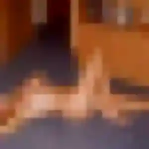 Photo perso de Berengere, 41 ans à Cébazat - plan discret