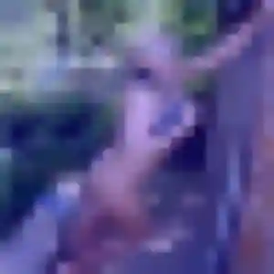 rencontre libertine à Champagne-sur-Seine : photo de Vanessa, 36 ans - accès libre