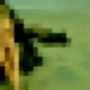 Erika, 37 ans, connectée à Châtenoy-le-Royal pour une rencontre coquine