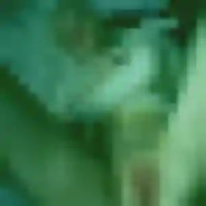 Elodie, femme de 27 ans cherche rencontre libertine à Cholet