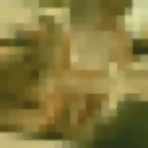 Brunehilde, femme de 21 ans veut rencontre libertine à Condat-sur-Vienne