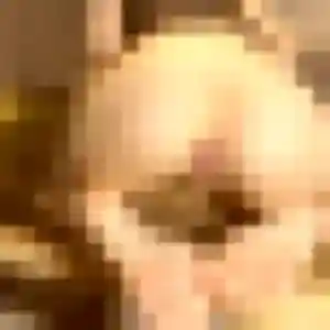 Pierrette, 37 ans, dispo pour rencontre libertine à Cuincy