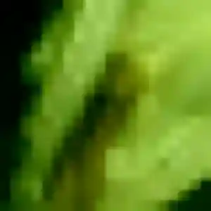 Photo privée de Aurelie, 38 ans à Déols - plan discret