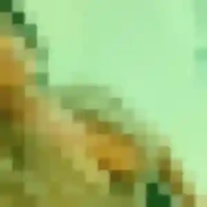 Anne-Laure, 32 ans, dispo pour rencontre libertine à Émerainville