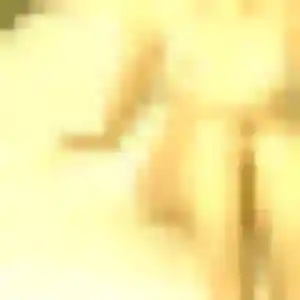Stephanie (21 ans) à Eschau cherche un rencontre libertine ce soir