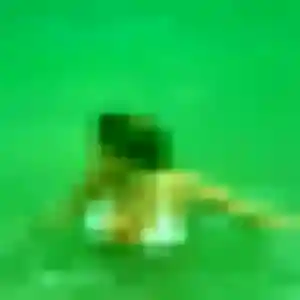 Rejoins Oceane, 21 ans à Eybens en privé