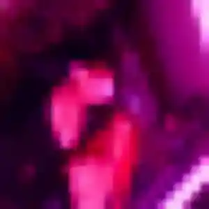 Photo de Clarisse à Fécamp (27 ans) - rencontre libertine anonyme
