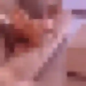 Photo sexy de Solene, 30 ans à Fegersheim - rencontre sans lendemain