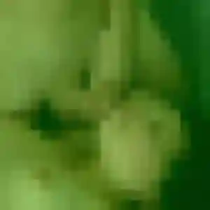 Profil de Joanne à Flers (41 ans) - rencontre libertine discret
