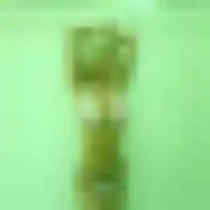 Profil de Lilou à Fontenay-Trésigny (21 ans) - rencontre libertine gratuit