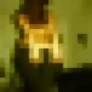 Photo privée de Lisa, 21 ans à Fosses - rencontre sans lendemain