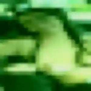 Fleur (38 ans) à Fougères cherche une rencontre ce soir