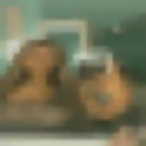 Profil de Axelle à Garches (25 ans) - rencontre libertine gratuit
