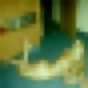 Jennifer, 41 ans, disponible à Garéoult pour une rencontre coquine