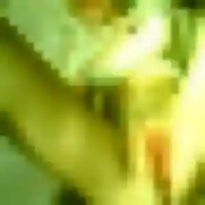 Photo de Valentina à Hayange (33 ans) - rencontre libertine gratuit