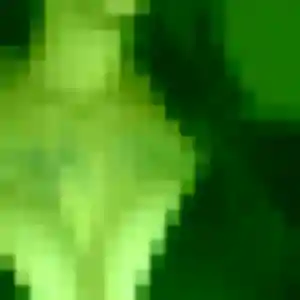 Alice, fille de 45 ans cherche rencontre libertine à Kervignac