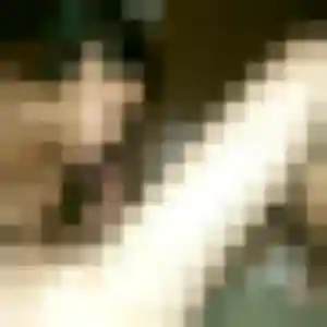 Profil de Violette à L'Isle-sur-la-Sorgue (28 ans) - rencontre libertine discret