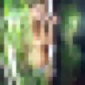 Photo privée de Estee, 39 ans à Le Val d'Hazey - plan discret