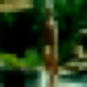 Photo perso de Alix, 22 ans à Les Abrets en Dauphiné - rencontre coquine