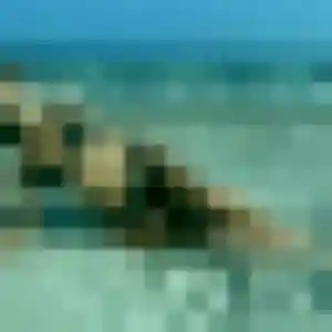 Photo privée de Kim, 38 ans à Les Pavillons-sous-Bois - rencontre coquine