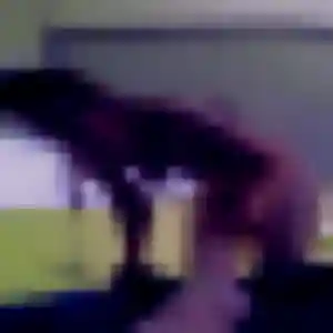 Photo sexy de Vinciane, 40 ans à Livarot-Pays-d'Auge - plan discret