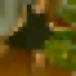 Profil de Harmony à Longvic (23 ans) - rencontre libertine anonyme