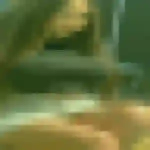 Giulia (45 ans) à Marignane cherche une rencontre maintenant