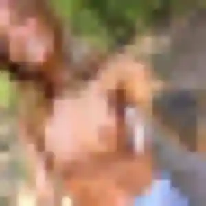 Irina (19 ans) à Marly propose une rencontre ce soir