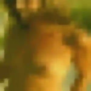 Priscilla (30 ans) à Mer cherche un rencontre libertine ce soir