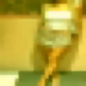 Sexy Regine, 31 ans à Montauban-de-Bretagne - découvrir son profil