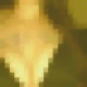 Profil de Svetlana à Montauban (36 ans) - rencontre libertine gratuit