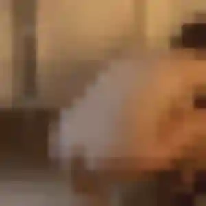Photo exclusive de Lisette, 34 ans à Nangis - plan discret