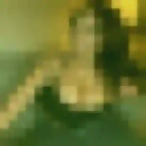 Aurore, 42 ans, veut un rencontre libertine à Nieppe