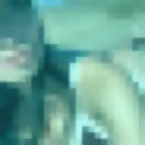 Photo perso de Olivia, 19 ans à Oberhausbergen - rencontre coquine