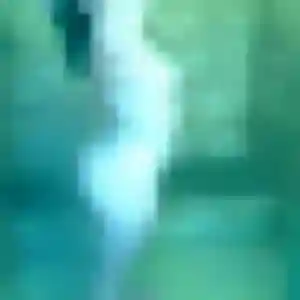 Samantha, 20 ans, cherche un rencontre libertine à Paimpol