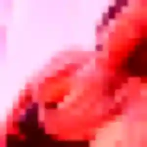 Yvonne, 21 ans, connectée à Penmarch pour une rencontre coquine